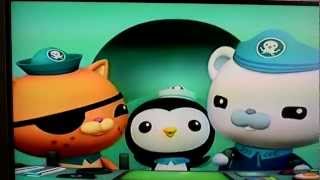 The Octonauts TV Show Theme Song  Octonaut song Octonauts song [upl. by Joses101]