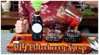 How to make Elderberry Syrup A sweet and simple recipe [upl. by Aniratak]