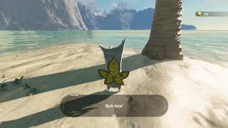 Korok seeds  Soka Point  Faron Tower 25  Zelda BOTW [upl. by Rotow]