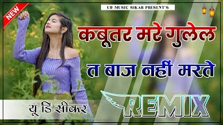 Yaar Tera Khalnayak Song Dj Remix  4D Brazil Mix  कबूतर मरे गुलेल त बाज नहीं मरते  Dj UR Sikar [upl. by Tench]