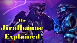 Halo Lore  Morphology of Jiralhanae Brutes  Biology History Covenant Role  Brutes Explained [upl. by Schiro]