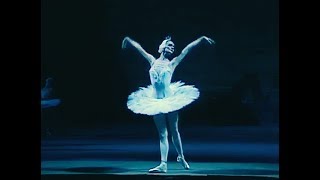 Tchaikovsky Swan Lake Bolshoi Ballet Moscow 1989 [upl. by Rednirah]