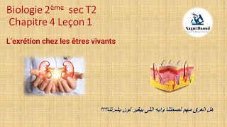 Biologie 2ème sec Chapitre 4 Leçon 1 Lexcrétion chez les etres vivants الاخراج ج1 [upl. by Boswall]