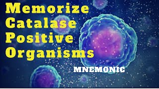 Catalase Positive Organisms Mnemonic for USMLE Step 1 [upl. by Marve]