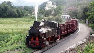 Schmalspurbahn Brad  Criscior HD Narrow Gauge Steam Railway Romania [upl. by Dyraj]