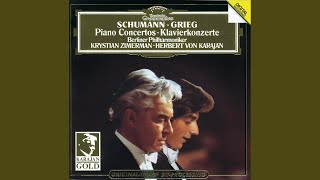 Schumann Piano Concerto in A Minor Op 54 III Allegro vivace [upl. by Cliff278]