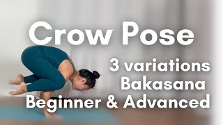 How to do Crow Pose Bakasana for beginners yogaforbeginners crowpose bakasana armbalance [upl. by Rolan]