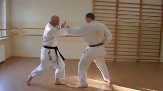 Kata BassaiSho Bunkai [upl. by Romina]