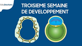 Troisième semaine de développement  Embryologie générale [upl. by Park]