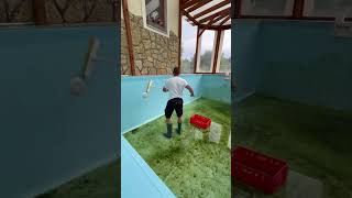 ASMR Pool Cleaning Relaxing Sounds and Perfect Results asmr poolcleaner short [upl. by Montana]