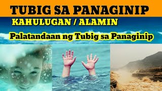 62 KAHULUGAN SA PANAGINIP NG ISDA  DREAMS AND MEANING OF FISH [upl. by Bird]