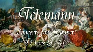 Telemann  Concerto for Trumpet 2 Oboes amp B C [upl. by Hercule]