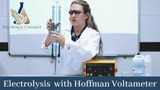 Electrolysis with a Hoffman Voltameter [upl. by Morty]