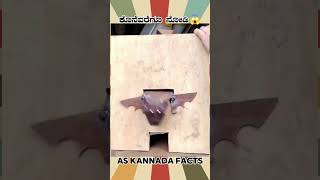 Amazing Steel Artist Fact Video  kannada facts karnataka amazing youtubeshorts trendingshorts [upl. by Hsinam723]