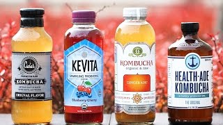 Nutrition expert reveals health benefits to drinking kombucha [upl. by Wilcox518]