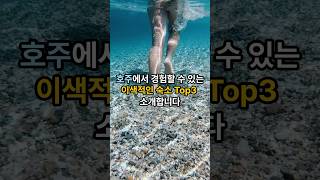 당신의 상상이 현실이 된다 호주의 ‘유니크한’ 숙소 추천 호주여행 호주숙소 여행 [upl. by Nnylkcaj915]