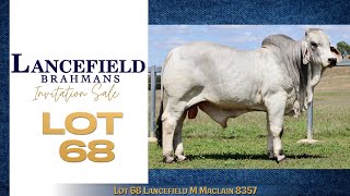 Lot 68 Lancefield M Maclain 8357 [upl. by Edelsten]