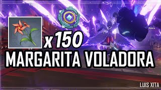 Transmutador paramétrico ◈「 Margarita voladora 」 Genshin Impact [upl. by Dekow]