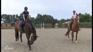 Éducation  La 1ère section sportive équitation à Chantonnay [upl. by Llennej208]