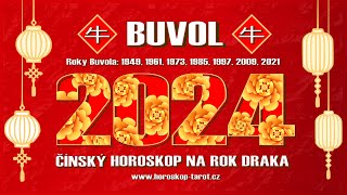 Čínský Horoskop 2024 Buvol  Láska Zdraví a Feng Shui pro Čínské Znamení Buvol na Rok Draka 2024 🐂 [upl. by Threlkeld]