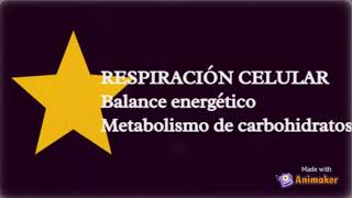 METABOLISMO DE CARBOHIDRATOS Glucosa BALANCE DE ENERGÍA CELULAR [upl. by Enimzzaj]