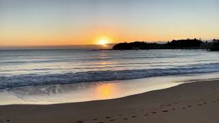 Early morning at Terrigal Seagulls Sunrise [upl. by Tavy]