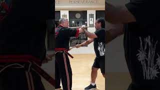 Double ZeroAbanico combination martialarts fma eskrimador modernarnis filipinomartialarts [upl. by Robillard]