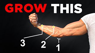 Unlock MASSIVE Forearms with These 3 Exercises Science Based [upl. by Arrec]