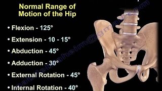 Anatomy of Movement Of The Hip  Everything You Need To Know  Dr Nabil Ebraheim [upl. by Babby466]