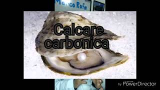 Calcarea carbonica homeopatia [upl. by Yenduhc]