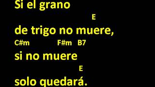 CANTOS PARA MISA  ENTRE TUS MANOS  LETRA Y ACORDES  OFERTORIO  CUARESMA Y ORDINARIO [upl. by Sharpe213]