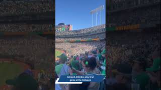 Oakland Athletics play final game at the Coliseum [upl. by Gnol]