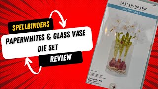 Spellbinders Paperwhites amp Glass Vase Die set Review [upl. by Early]