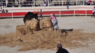 EYRAGUES Encierro Manade Gillet 5032023 [upl. by Vlad90]