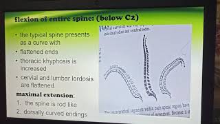 Manual mobilization of the joints chapter 1 spinal movement Doctorsstudy [upl. by Kinny]