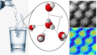 Chemical Basis of Biology Atoms Molecules and Electromagnetism [upl. by Pearson122]