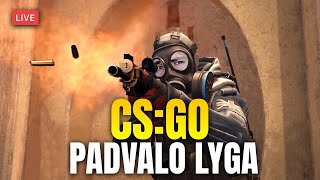 🔴 CSGO Padvalo Lyga [upl. by Anahgem]