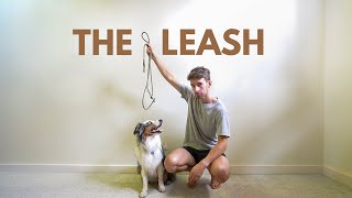 The Only Dog Leash Youll Ever Need [upl. by Adnahc]