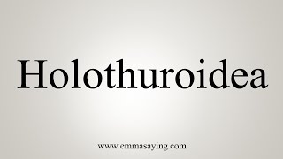 How To Say Holothuroidea [upl. by Burhans]