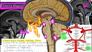 Cisterns of the brain enlarged subarachnoid spaces Important for NEETPG and NEXT exams [upl. by Cid110]