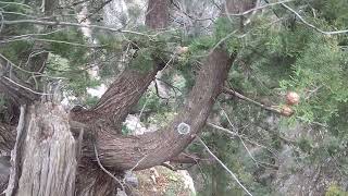 adrenaline super untrodden places nature viral naturelove viralvideo [upl. by Emogene]