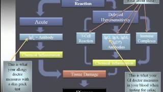 What is Gluten  The Ultimate Detailed Explanation [upl. by Hamilton]