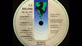 CJ BOLLAND  CAMARGUE SMARTMETER REMIX [upl. by Chaker]