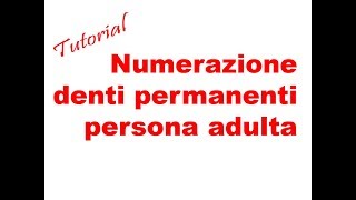 METASALUTE tutorial numerazione denti adulto permanenti [upl. by Cort44]