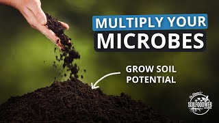 3Steps to Rapid Soil Regeneration Part 2 Multiplying the Beneficial Microbes [upl. by Codi988]