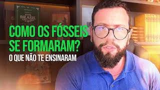 Como os fósseis se formaram  O que não te ensinaram [upl. by Sixele]