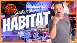 How to Build the PERFECT Saltwater Aquarium Habitat EP 2 [upl. by Aryan]