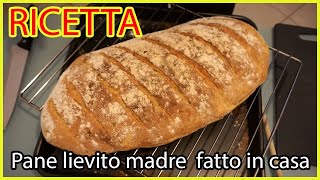 Ricetta preparazione pane fatto in casa con farina 0 e lievito madre [upl. by Hayidan789]