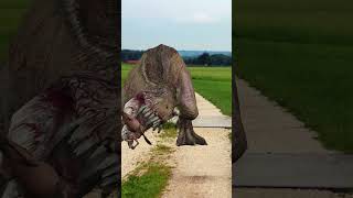 TRex Dinosaur Eats a Camel  Jurassic Park Fan Made Movie  Viral Videos  Dino Planet [upl. by The893]