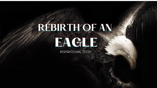 REBIRTH OF AN EAGLE  An Inspirational Video [upl. by Etteb]